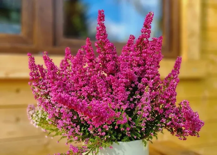 Dom wakacyjny W Ińsku *